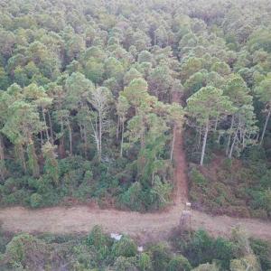 Photo of SOLD!!  65 Acres of Hunting Land with Home For Sale in Hyde County NC!