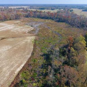 Photo of SOLD!!  33.62 Acres of Farm and Hunting Land For Sale in Craven County NC!