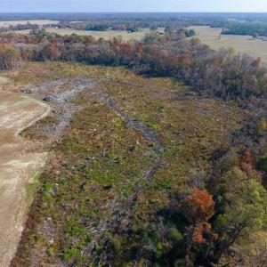 Photo of SOLD!!  33.62 Acres of Farm and Hunting Land For Sale in Craven County NC!