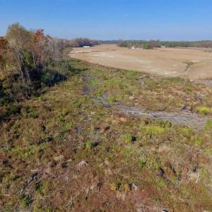 Photo of SOLD!!  33.62 Acres of Farm and Hunting Land For Sale in Craven County NC!