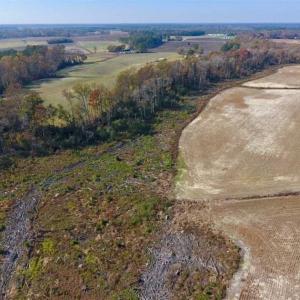 Photo of SOLD!!  33.62 Acres of Farm and Hunting Land For Sale in Craven County NC!