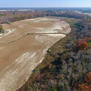 Photo of SOLD!!  33.62 Acres of Farm and Hunting Land For Sale in Craven County NC!