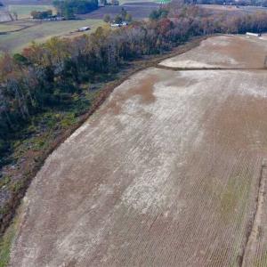Photo of SOLD!!  33.62 Acres of Farm and Hunting Land For Sale in Craven County NC!