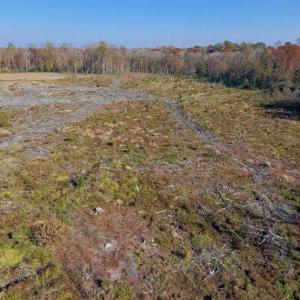 Photo of SOLD!!  33.62 Acres of Farm and Hunting Land For Sale in Craven County NC!