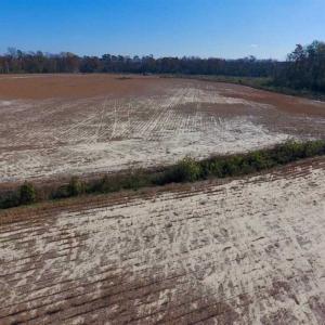 Photo of SOLD!!  33.62 Acres of Farm and Hunting Land For Sale in Craven County NC!