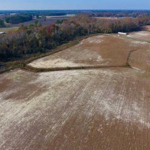 Photo of SOLD!!  33.62 Acres of Farm and Hunting Land For Sale in Craven County NC!