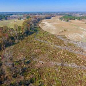 Photo of SOLD!!  33.62 Acres of Farm and Hunting Land For Sale in Craven County NC!