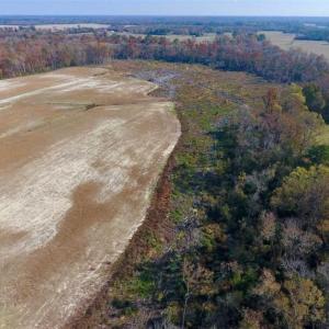 Photo of SOLD!!  33.62 Acres of Farm and Hunting Land For Sale in Craven County NC!