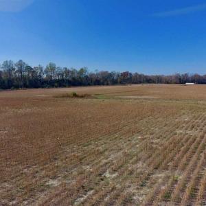 Photo of SOLD!!  33.62 Acres of Farm and Hunting Land For Sale in Craven County NC!