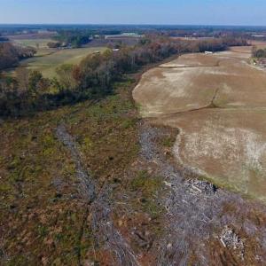 Photo of SOLD!!  33.62 Acres of Farm and Hunting Land For Sale in Craven County NC!