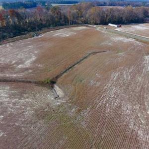 Photo of SOLD!!  33.62 Acres of Farm and Hunting Land For Sale in Craven County NC!