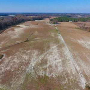 Photo of SOLD!!  33.62 Acres of Farm and Hunting Land For Sale in Craven County NC!