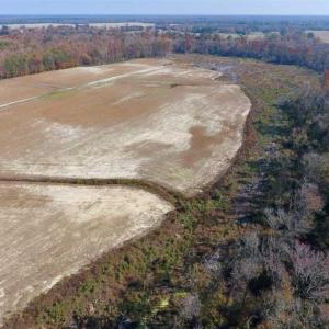 Photo of SOLD!!  33.62 Acres of Farm and Hunting Land For Sale in Craven County NC!