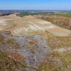 Photo of SOLD!!  33.62 Acres of Farm and Hunting Land For Sale in Craven County NC!