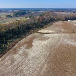 Photo of SOLD!!  33.62 Acres of Farm and Hunting Land For Sale in Craven County NC!