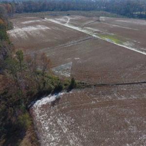 Photo of SOLD!!  17.98 Acres of Farm and Hunting Land For Sale in Craven County NC!