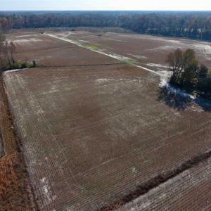 Photo of SOLD!!  17.98 Acres of Farm and Hunting Land For Sale in Craven County NC!