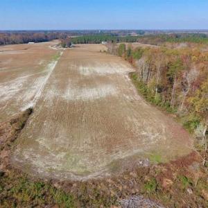 Photo of SOLD!!  17.98 Acres of Farm and Hunting Land For Sale in Craven County NC!