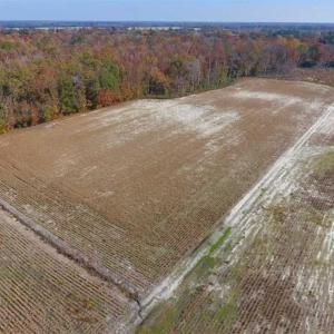 Photo of SOLD!!  17.98 Acres of Farm and Hunting Land For Sale in Craven County NC!
