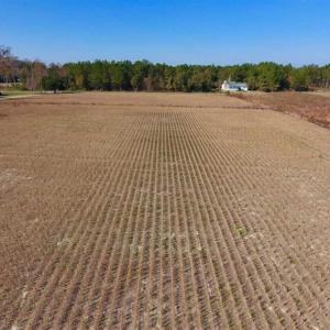 Photo of SOLD!!  17.98 Acres of Farm and Hunting Land For Sale in Craven County NC!