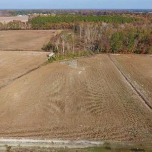 Photo of SOLD!!  17.98 Acres of Farm and Hunting Land For Sale in Craven County NC!