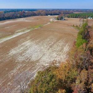 Photo of SOLD!!  17.98 Acres of Farm and Hunting Land For Sale in Craven County NC!
