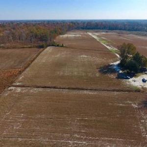 Photo of SOLD!!  17.98 Acres of Farm and Hunting Land For Sale in Craven County NC!