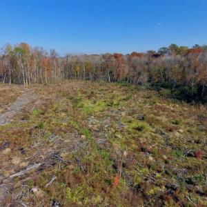 Photo of SOLD!!  17.98 Acres of Farm and Hunting Land For Sale in Craven County NC!