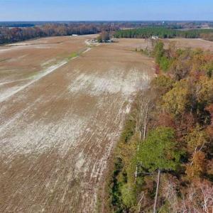 Photo of SOLD!!  17.98 Acres of Farm and Hunting Land For Sale in Craven County NC!