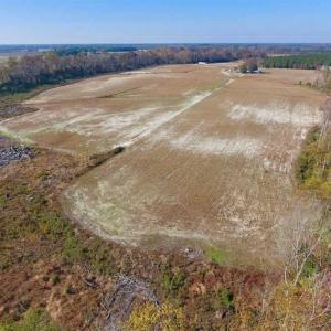 Photo of SOLD!!  17.98 Acres of Farm and Hunting Land For Sale in Craven County NC!