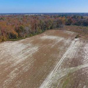 Photo of SOLD!!  17.98 Acres of Farm and Hunting Land For Sale in Craven County NC!
