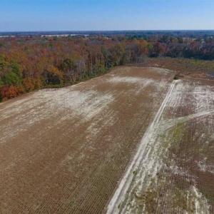 Photo of SOLD!!  17.98 Acres of Farm and Hunting Land For Sale in Craven County NC!