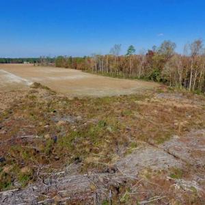 Photo of SOLD!!  17.98 Acres of Farm and Hunting Land For Sale in Craven County NC!
