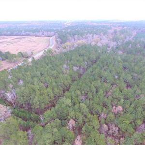 Photo of SOLD!!  10 Acres of Hunting For Sale in Accomack County VA!