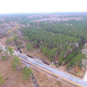 Photo of SOLD!!  10 Acres of Hunting For Sale in Accomack County VA!
