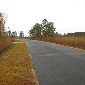 Photo of SOLD!!  10 Acres of Hunting For Sale in Accomack County VA!