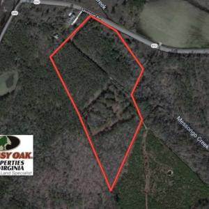 Photo of SOLD!!  10 Acres of Hunting For Sale in Accomack County VA!