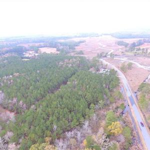 Photo of SOLD!!  10 Acres of Hunting For Sale in Accomack County VA!