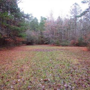 Photo of SOLD!!  10 Acres of Hunting For Sale in Accomack County VA!