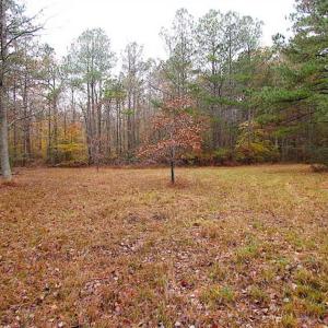Photo of SOLD!!  10 Acres of Hunting For Sale in Accomack County VA!