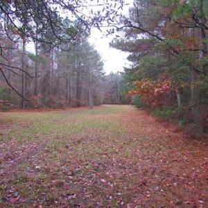 Photo of SOLD!!  10 Acres of Hunting For Sale in Accomack County VA!