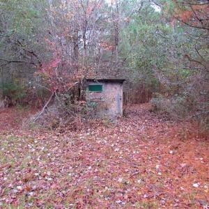 Photo of SOLD!!  10 Acres of Hunting For Sale in Accomack County VA!
