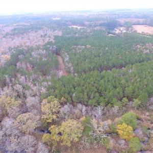 Photo of SOLD!!  10 Acres of Hunting For Sale in Accomack County VA!