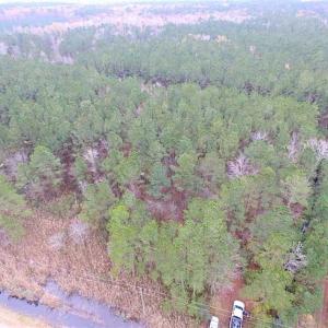 Photo of SOLD!!  10 Acres of Hunting For Sale in Accomack County VA!