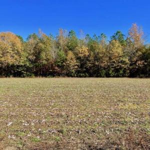 Photo of SOLD!!  8.6 Acres of Farm and Timber Land For Sale in Cumberland County NC!