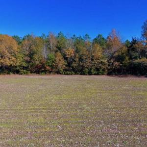 Photo of SOLD!!  8.6 Acres of Farm and Timber Land For Sale in Cumberland County NC!