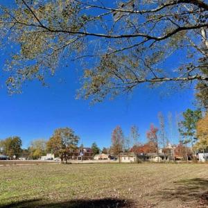 Photo of SOLD!!  8.6 Acres of Farm and Timber Land For Sale in Cumberland County NC!