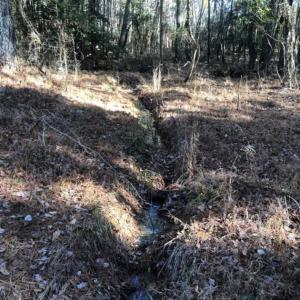 Photo of SOLD!!  6.64 Acres of Residential Land with Home For Sale in Brunswick County VA!