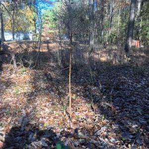 Photo of SOLD!!  6.64 Acres of Residential Land with Home For Sale in Brunswick County VA!