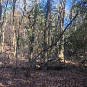 Photo of SOLD!!  6.64 Acres of Residential Land with Home For Sale in Brunswick County VA!
